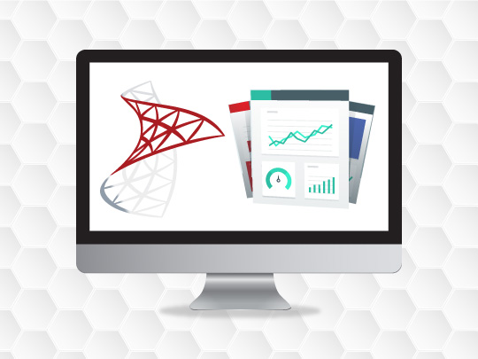 SSRS proven work case study by MagnusMinds