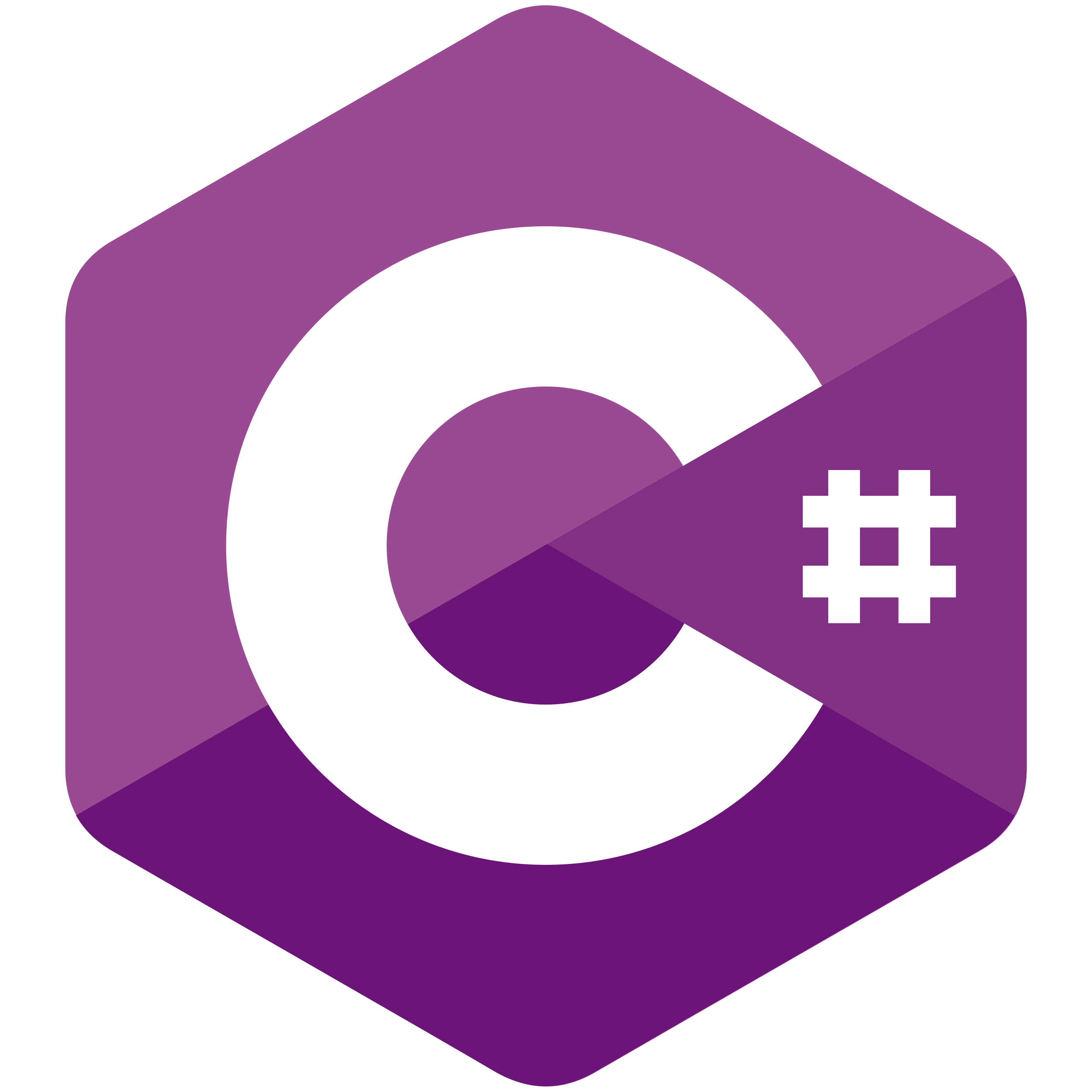 C# Development