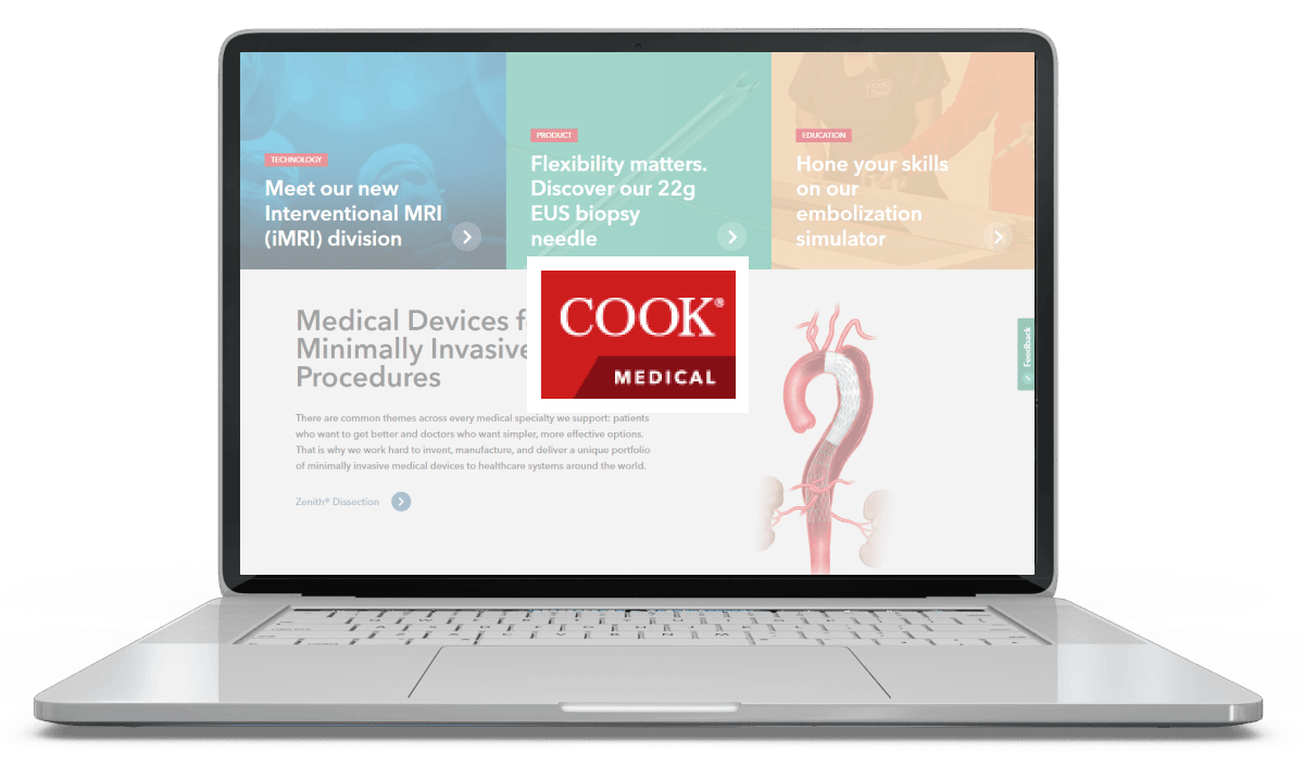Cook medical case study image magnusminds