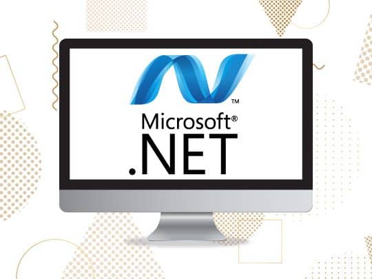 microsoft_dot_net_technologies_magnusminds